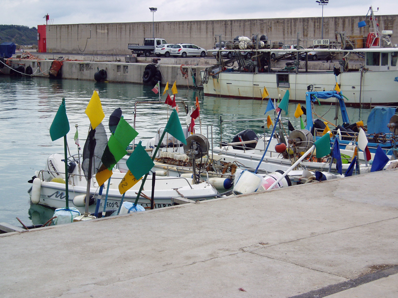 Great-Swan---Vasto,-Italy---fish-marks.jpg